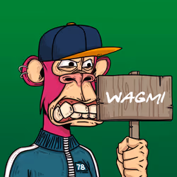 164