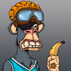 126