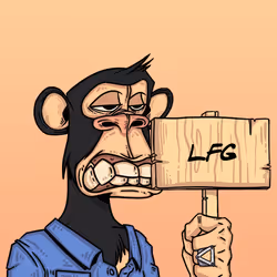 244