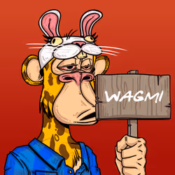 43