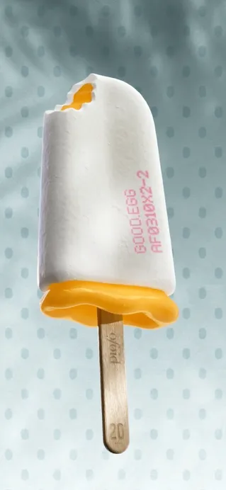 Item #19 Media