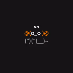 41