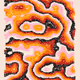 90