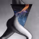 Natural Forms & Geometric Shapes