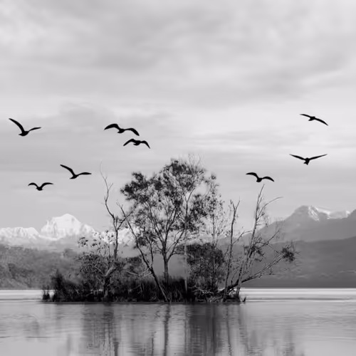 Black & White World V2