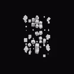 Eighty Rolls