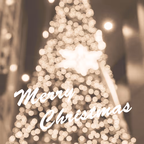 #004S Merry Christmas Brown ver.