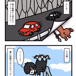 Ten Uju Gene #03683