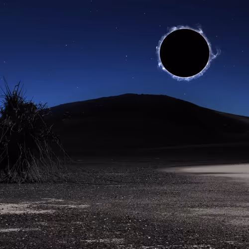 The Horse: Blackhole