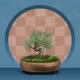 BONSAI NFT FARM #168