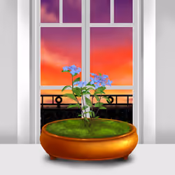 BONSAI NFT FARM #7493