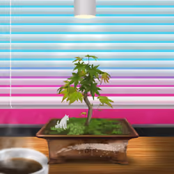 BONSAI NFT FARM #708