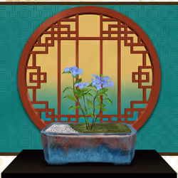 BONSAI NFT FARM #7760