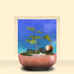 BONSAI NFT FARM #1619