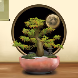 BONSAI NFT FARM #46