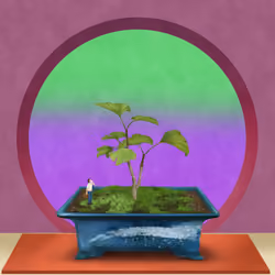 BONSAI NFT FARM #2919