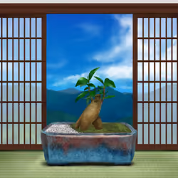 BONSAI NFT FARM #7527
