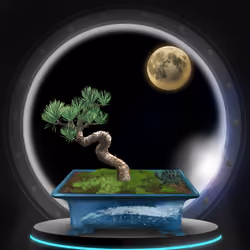 BONSAI NFT FARM #3832
