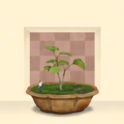 BONSAI NFT FARM #2047