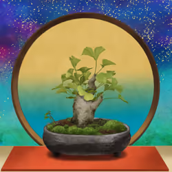 BONSAI NFT FARM #3172