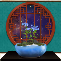 BONSAI NFT FARM #7341