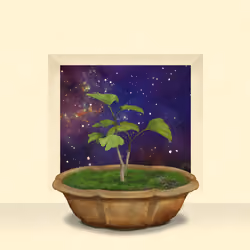BONSAI NFT FARM #3453