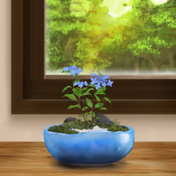 BONSAI NFT FARM #7901