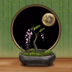 BONSAI NFT FARM #6240