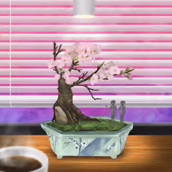 BONSAI NFT FARM #1693