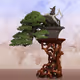 BONSAI NFT FARM #698