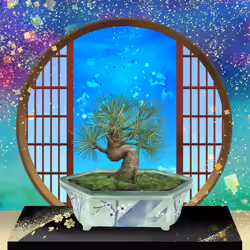 BONSAI NFT FARM #2356