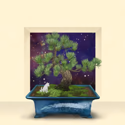 BONSAI NFT FARM #4342