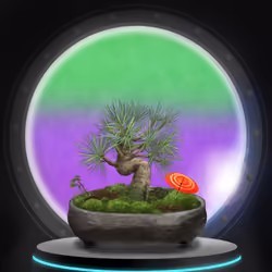 BONSAI NFT FARM #5027