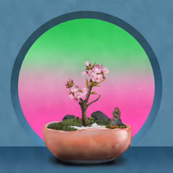 BONSAI NFT FARM #3190