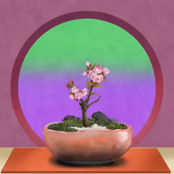 BONSAI NFT FARM #2464