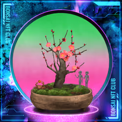 BONSAI NFT FARM #1385