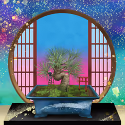 BONSAI NFT FARM #228