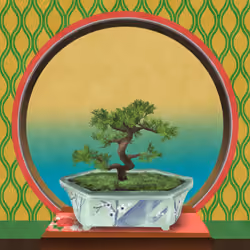BONSAI NFT FARM #3345
