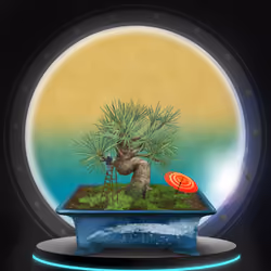 BONSAI NFT FARM #4343