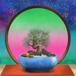 BONSAI NFT FARM #3837