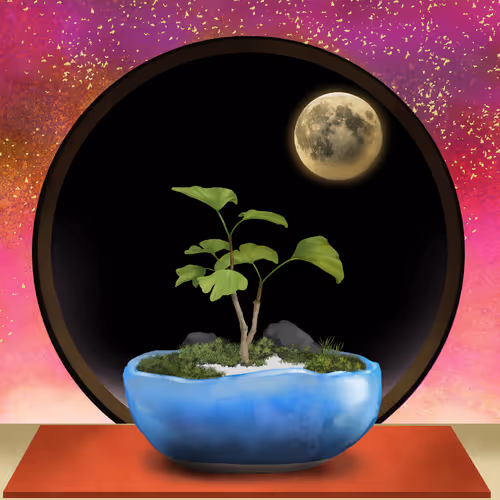 BONSAI NFT FARM #3213