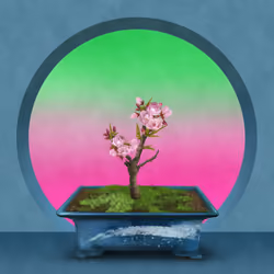 BONSAI NFT FARM #2004
