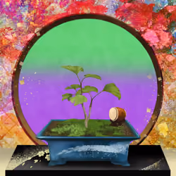 BONSAI NFT FARM #1346