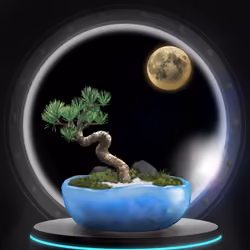 BONSAI NFT FARM #2155