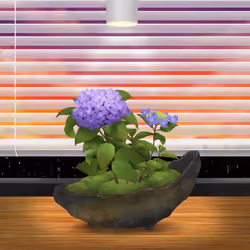BONSAI NFT FARM #7952