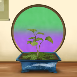 BONSAI NFT FARM #2152