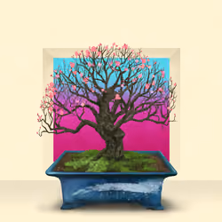 BONSAI NFT FARM #1428