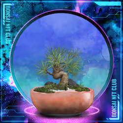 BONSAI NFT FARM #2549