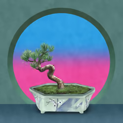 BONSAI NFT FARM #2568