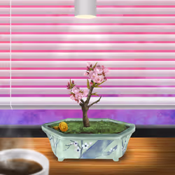 BONSAI NFT FARM #3467